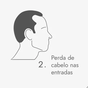 2c copiar