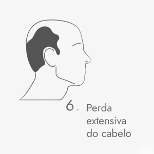 6c copiar